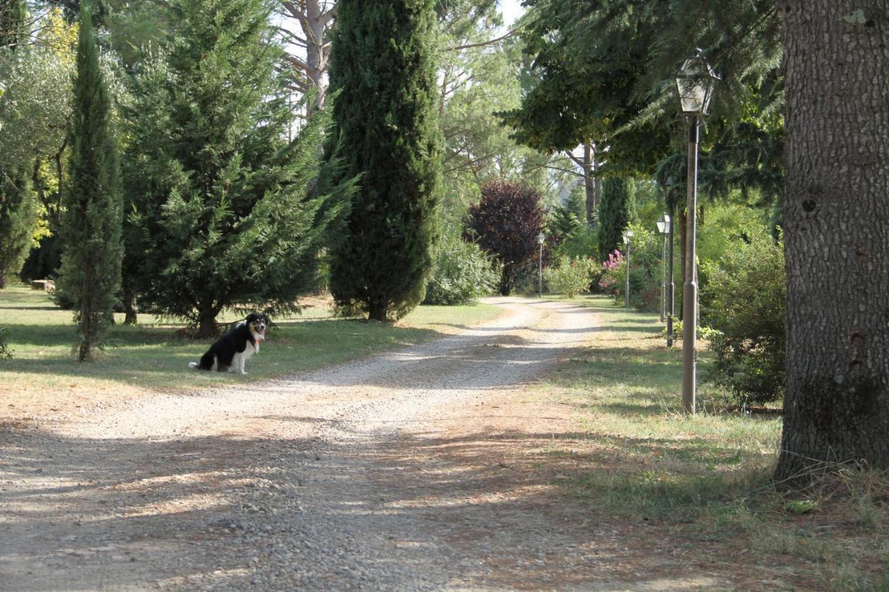 Villa Rigacci Hotel Reggello Exterior photo